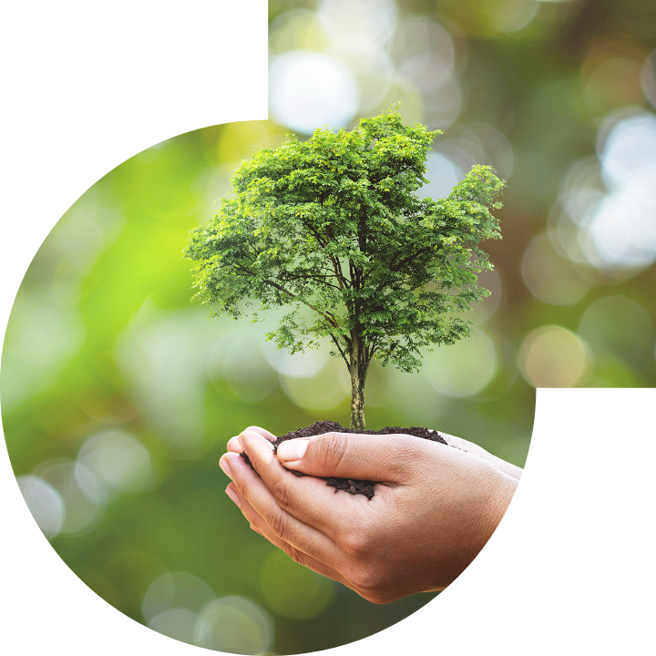 關懷人類、文化、環境與社會